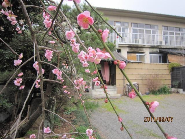 Ryokan Mikasaya Beppu Kültér fotó